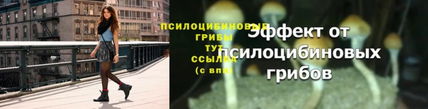 ешки Остров