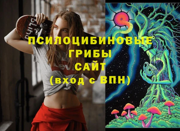ешки Остров