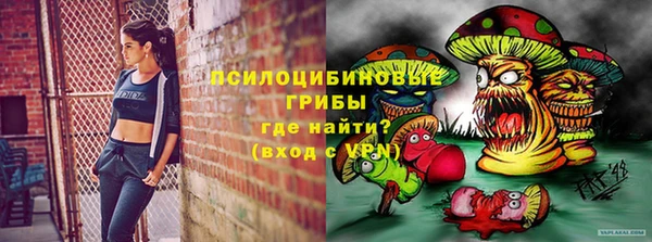 apvp Осташков