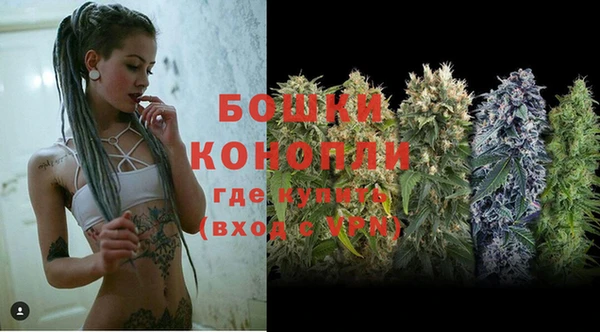 гашик Переславль-Залесский